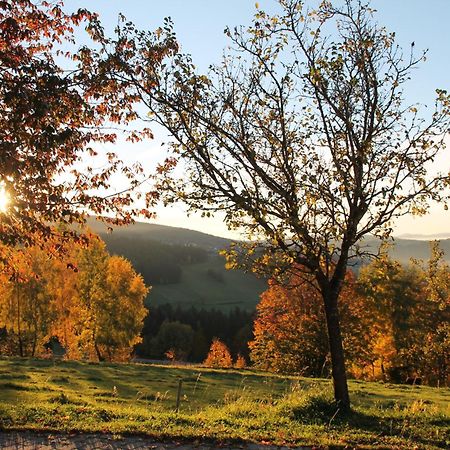 Appartamento Stoahauerhof Grainet Esterno foto