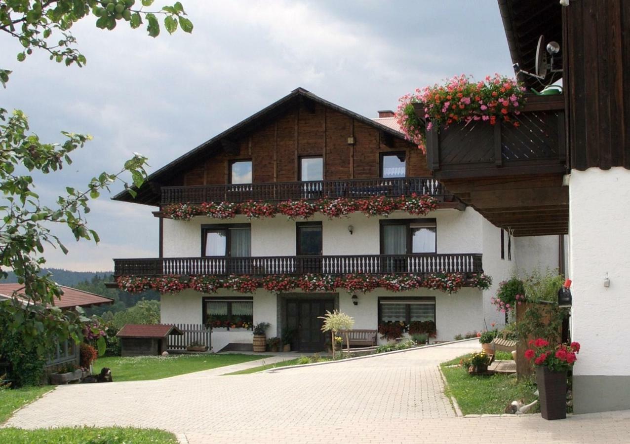Appartamento Stoahauerhof Grainet Esterno foto